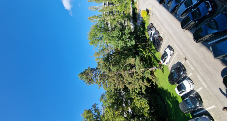 En exclusivité : Appartement luxueux et confortable avec piscines  image 10