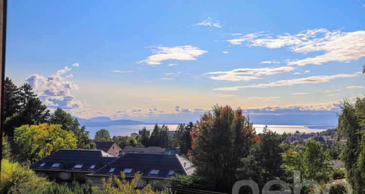 Votre futur duplex - vue sur le lac! image 9