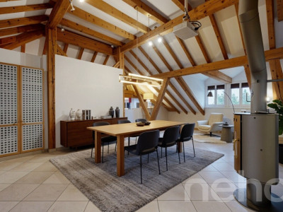 Attique d?exception dans une maison historique image 5