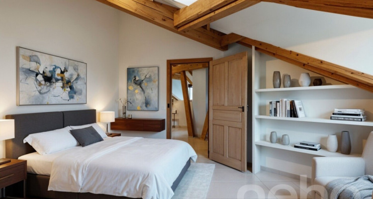 Attique d?exception dans une maison historique image 8