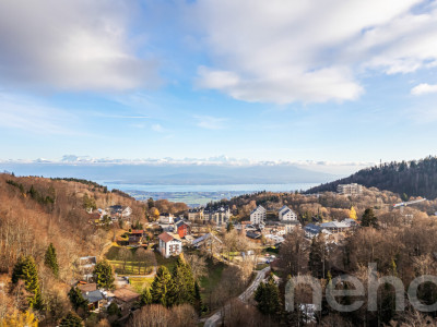 Chalet d?exception à St-Cergue, vue panoramique lac et montagnes image 3