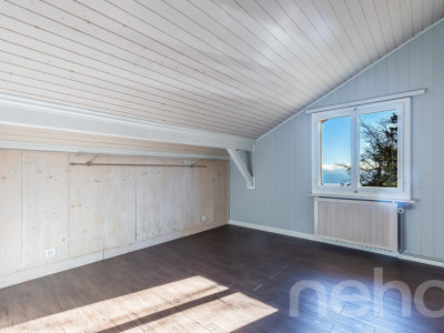 Chalet d?exception à St-Cergue, vue panoramique lac et montagnes image 8