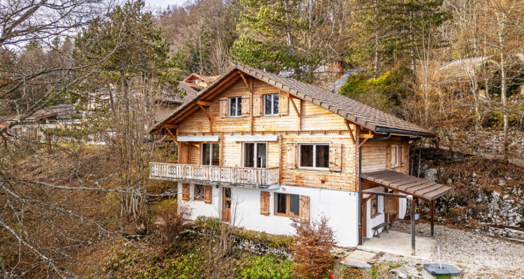Chalet d?exception à St-Cergue, vue panoramique lac et montagnes image 1