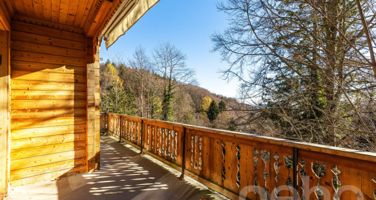 Chalet d?exception à St-Cergue, vue panoramique lac et montagnes image 2