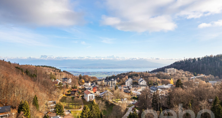 Chalet d?exception à St-Cergue, vue panoramique lac et montagnes image 3