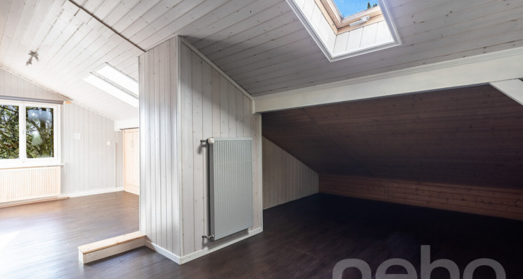 Chalet d?exception à St-Cergue, vue panoramique lac et montagnes image 9