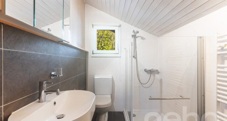 Chalet d?exception à St-Cergue, vue panoramique lac et montagnes image 10