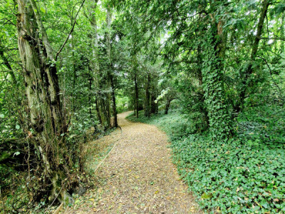 Fabuleux appartement en terrasse et jardin, piscine, fitness et tennis  image 12