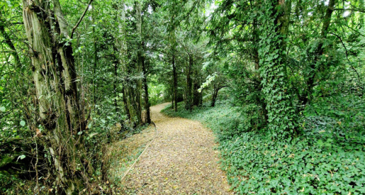 Fabuleux appartement en terrasse et jardin, piscine, fitness et tennis  image 12