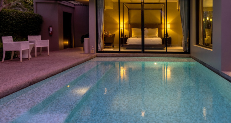 Luxury Villa Seven, Collonge Bellerive, 5 minutes walk to the lake image 2