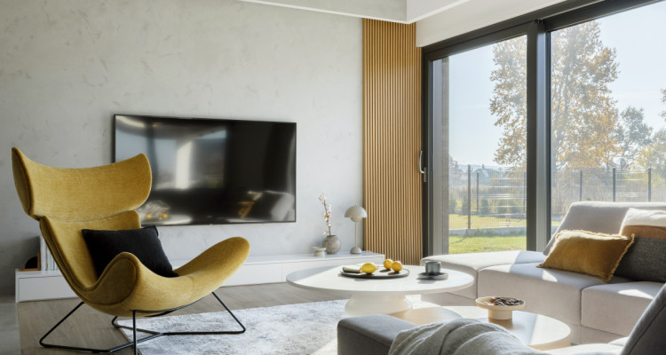 Luxury Villa Seven, Collonge Bellerive, 5 minutes walk to the lake image 3