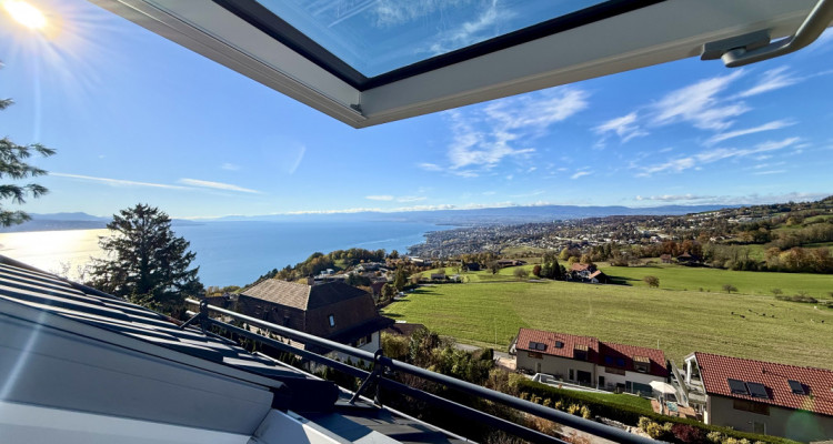 Maison avec vue spectaculaire sur le Léman image 6