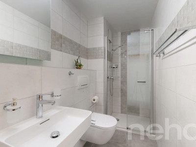 Appartement de 160 m², 5,5 pièces avec garage et vue dégagée au calme image 10