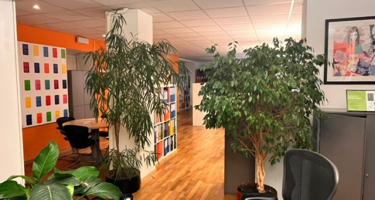 Bureau/poste de travail en sous-location au cœur de Genève  image 5