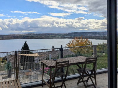 Duplex dexception avec vue imprenable sur le lac de Morat et les Alpes image 1