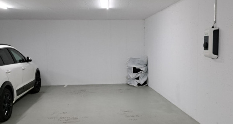 Duplex dexception avec vue imprenable sur le lac de Morat et les Alpes image 15