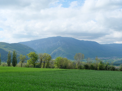 À VENDRE – 3 PARCELLES CONSTRUCTIBLES – 5902 m² – VANZY (74270) image 1