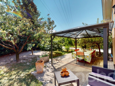 Coup de c?ur ! Maison familiale au c?ur des vergers de Saxon. image 10