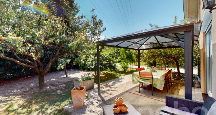 Coup de c?ur ! Maison familiale au c?ur des vergers de Saxon. image 10