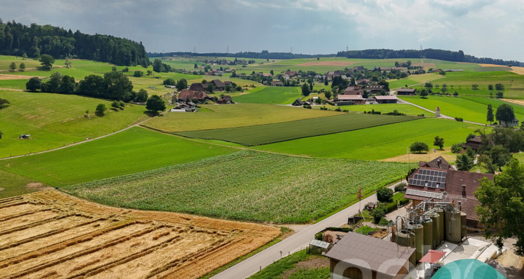 Mehrgenerationenhaus mit unverbaubarer Weitsicht an ruhiger Lage image 12