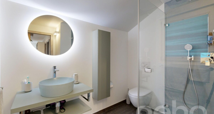 Magnifique maison au bord du lac à Portalban image 10