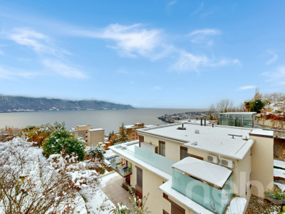 Rez-de-jardin d?exception avec piscine chauffée et vue lac?Alpes image 1