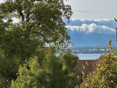 Vue Lac et Campagne image 7