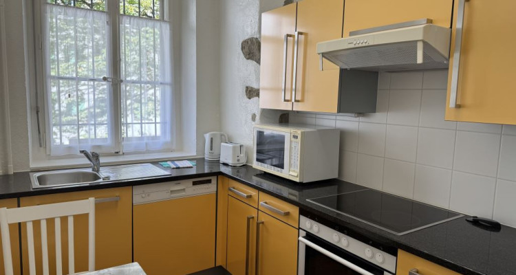 OFFRE SPECIALE FÊTES !! Appartement meublé de 4 pièces à Carouge (Genève) image 2