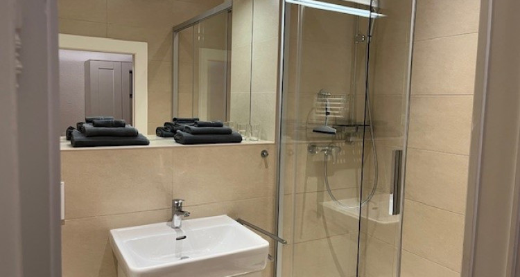 Bel appartement meublé de 3 pièces à Carouge (Genève) image 2