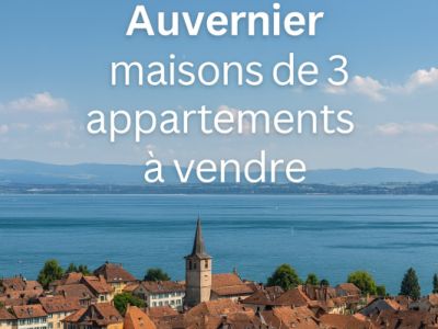 Une opportunité unique image 1