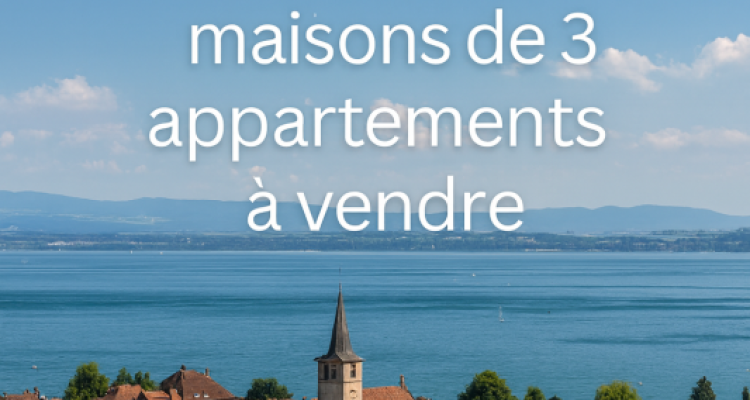 Une opportunité unique image 1