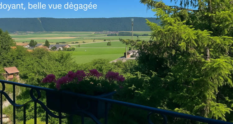 Cernier ? Situation centrale, environnement verdoyant, belle vue dégagée image 1