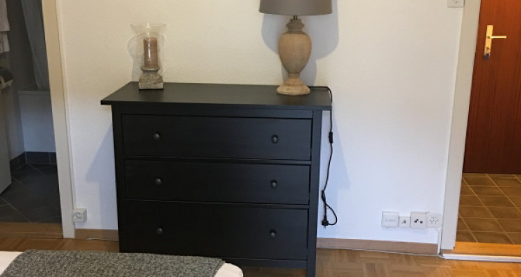 STUDIO centre-ville proche gare Cornavin image 4