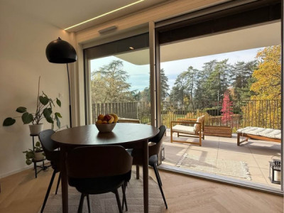 URGENCE – REPRISE DE BAIL : MAGNIFIQUE 3 PIÈCES ATTIQUE À VESSY (GENÈVE) image 4