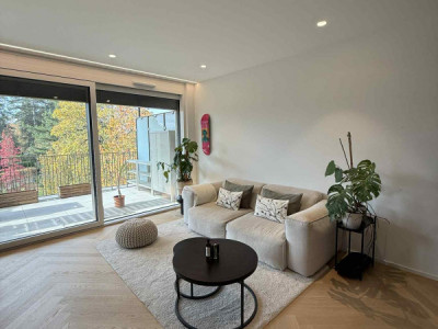 URGENCE – REPRISE DE BAIL : MAGNIFIQUE 3 PIÈCES ATTIQUE À VESSY (GENÈVE) image 2