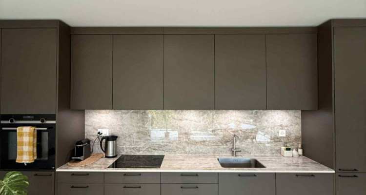 URGENCE – REPRISE DE BAIL : MAGNIFIQUE 3 PIÈCES ATTIQUE À VESSY (GENÈVE) image 7