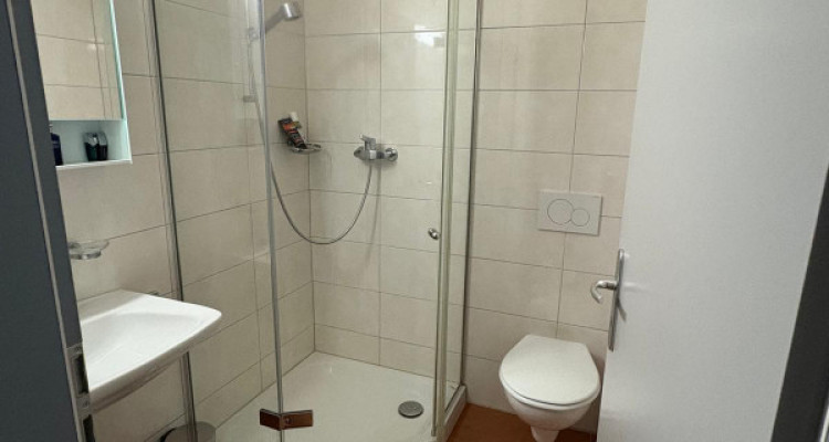 Superbe maison avec jardin à Cologny image 8