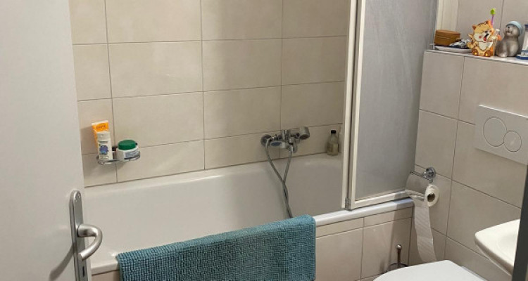 Superbe maison avec jardin à Cologny image 9