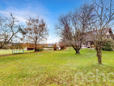 Maison individuelle sur un grand terrain au calme image 11