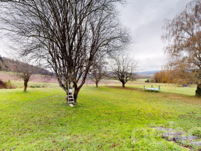 Maison individuelle sur un grand terrain au calme image 12