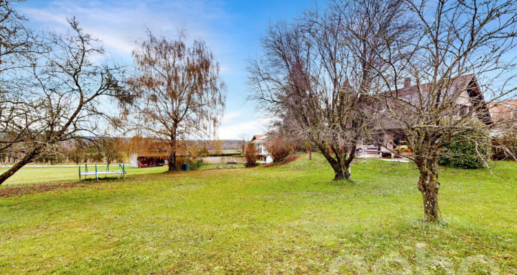 Maison individuelle sur un grand terrain au calme image 11