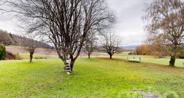 Maison individuelle sur un grand terrain au calme image 12