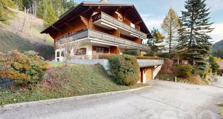 Appartement 3,5 pièces ? Vue montagne et proximité télécabine image 1