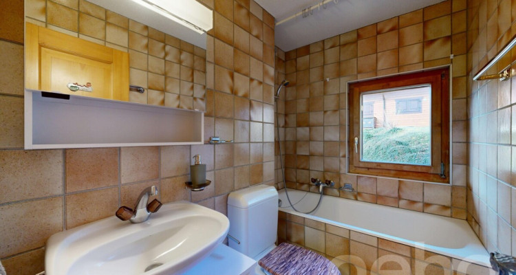 Appartement 3,5 pièces ? Vue montagne et proximité télécabine image 8