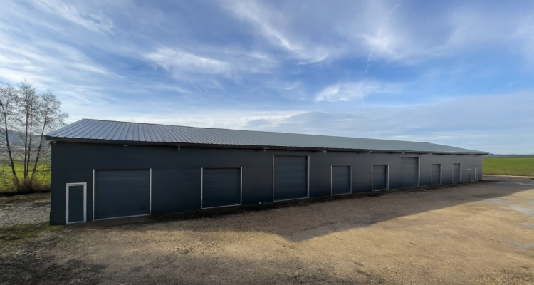 Dépôt / Atelier avec porte sectionnelle ? idéal artisan, stockage ou petite activité image 1