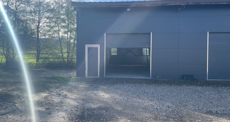 Dépôt / Atelier avec porte sectionnelle ? idéal artisan, stockage ou petite activité image 6