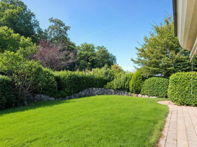 Hier fühlen Sie sich Zuhause image 1