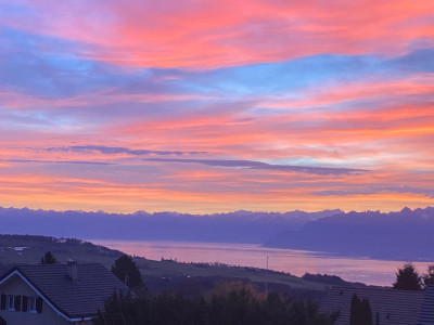 En exclusivité: Sequoia Villa, Arzier-Le Muids à 12 minutes de Nyon image 2