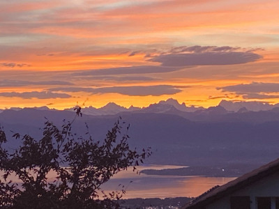 En exclusivité: Sequoia Villa, Arzier-Le Muids à 12 minutes de Nyon image 12