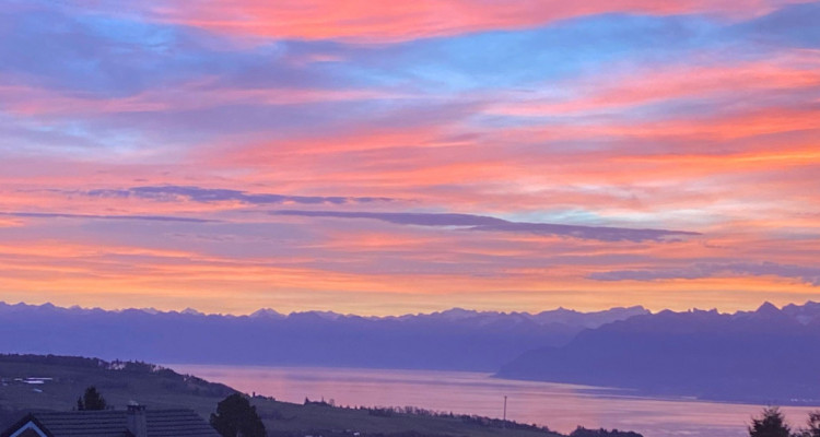 En exclusivité: Sequoia Villa, Arzier-Le Muids à 12 minutes de Nyon image 2